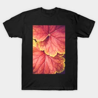 Two Leaves T-Shirt